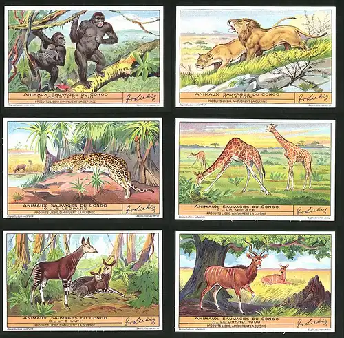 6 Sammelbilder Liebig, Serie Nr. 1349b: Animaux Sauvages du Congo, Le Grand Kudu, L`Okapi, La Girafe, Le Leopard