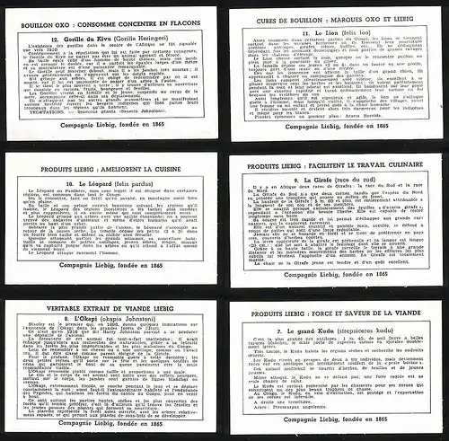 6 Sammelbilder Liebig, Serie Nr. 1349b: Animaux Sauvages du Congo, Le Grand Kudu, L`Okapi, La Girafe, Le Leopard