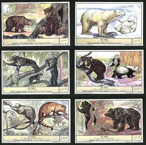 6 Sammelbilder Liebig, Serie Nr. 1620: Les Ours, Eisbär, Pandabär, Collier, Malais, Ours Brun