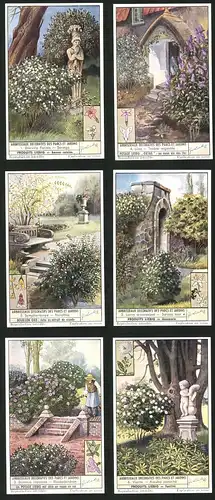 6 Sammelbilder Liebig, Serie Nr. 1532: Arbrisseaux Decoratifs des Parcs et Jardins, Forsythia, Viorne, Lilas, Seringa