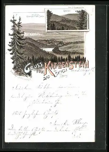 Vorläufer-Lithographie Bad Sachsa / Harz, 1895, Katzenstein und Stadtpanorama