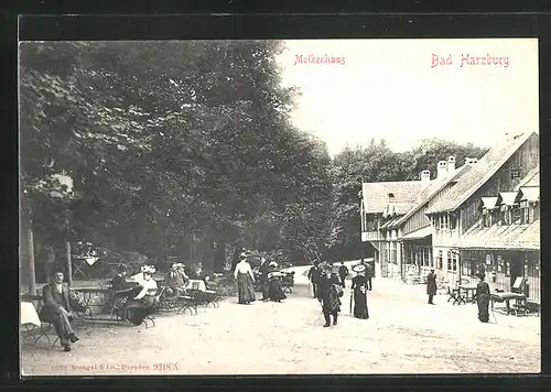 AK Bad Harzburg, Gasthof Molkenhaus