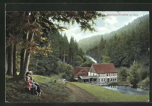 AK Hohegeiss i. Harz, Wolfsbachmühle im Walde