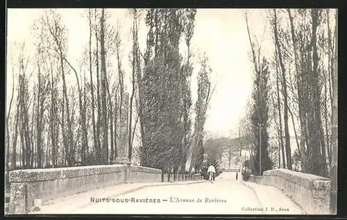 AK Nuits-sous-Raviéres, l'Avenue de Raviéres