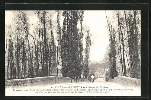 AK Nuits-sous-Raviéres, l'Avenue de Raviéres