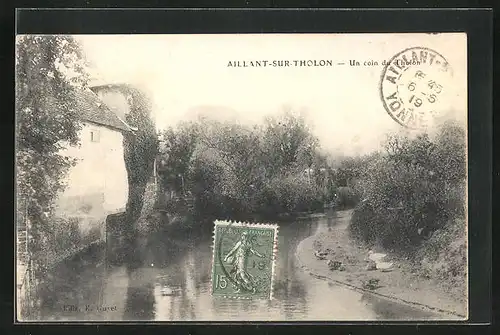 AK Aillant-sur-Tholon, Un Coin du Tholon