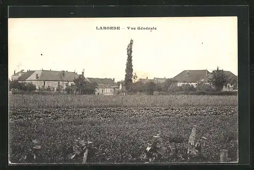 AK Laborde, Vue Générale