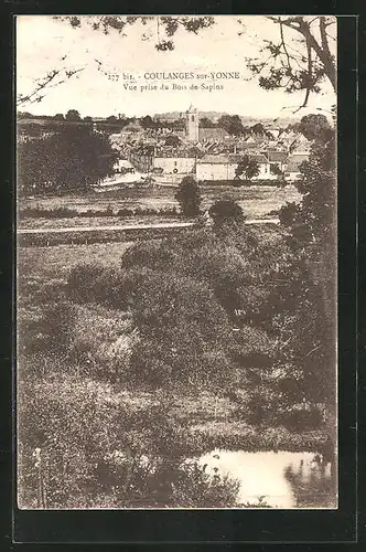 AK Coulanges-sur-Yonne, Vue prise du Bois de Sapins