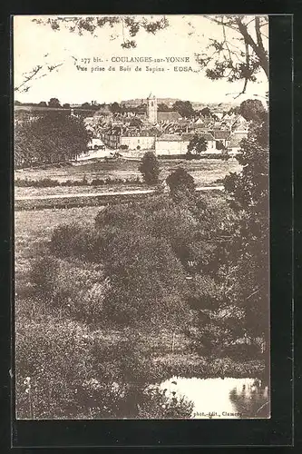 AK Coulanges-sur-Yonne, Vue prise du Bois de Sapins