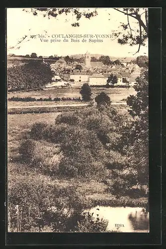 AK Coulanges-sur-Yonne, Vue prise du Bois de Sapins