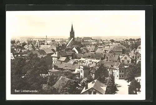 AK Bad Liebenwerda, Blick aus der Vogelschau