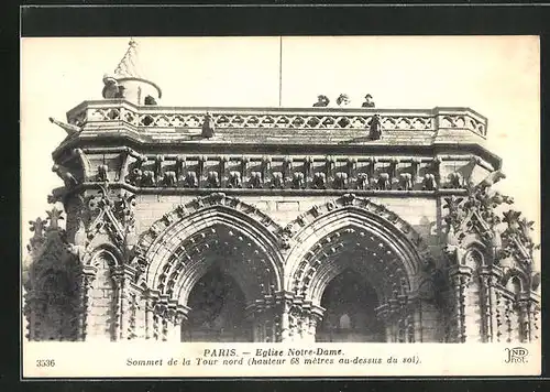 AK Paris, Cathédrale Notre-Dame - Sommet de la Tour nord
