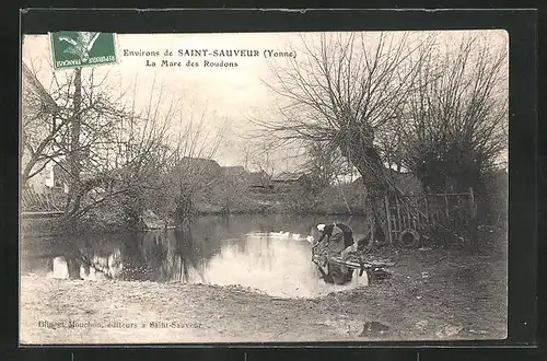 AK Saint-Sauveur, La Mare des Roudons