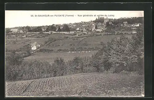 AK Saint-Sauveur-en-Puisaye, Vue gènèrale et vallèe du Loing