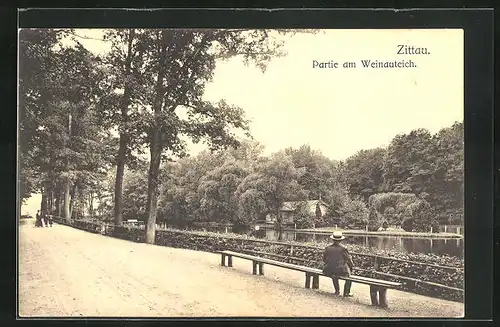 AK Zittau, Partie am Weinauteich