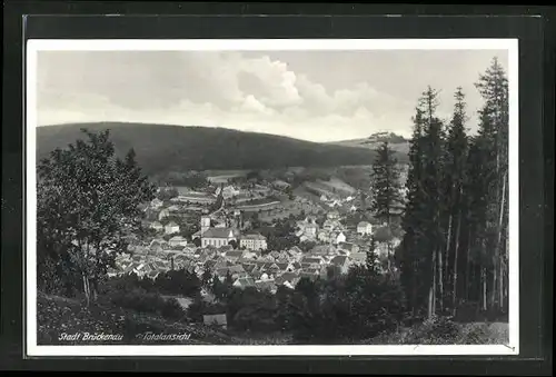 AK Brückenau, Totalansicht