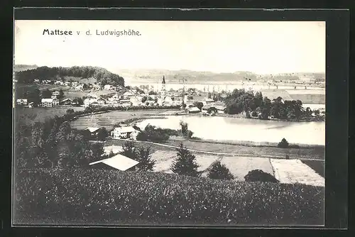 AK Mattsee v. d. Ludwigshöhe, Panorama