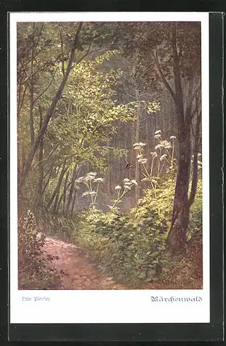 AK Deutscher Schulverein Nr. 886: Märchenwald mit Schmetterling
