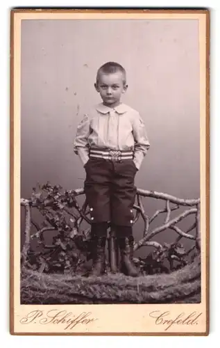 Fotografie P. Schiffer, Crefeld, Neue Linnerstrasse 74, Portrait kleiner Junge in modischer Kleidung