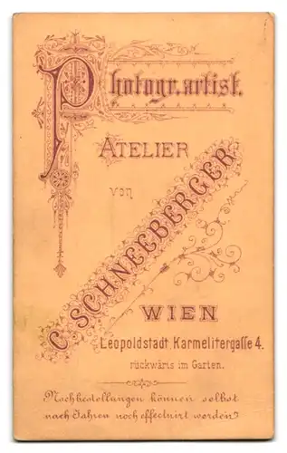 Fotografie C. Schneeberger, Wien, Karmelitergasse 4, Portrait elegant frisierte Dame im Biedermeierkleid