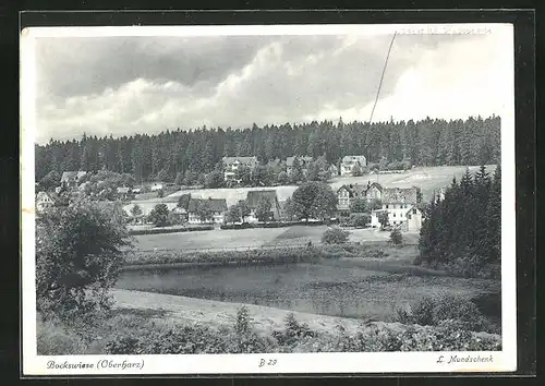 AK Bockswiese /Oberharz, Uferpartie