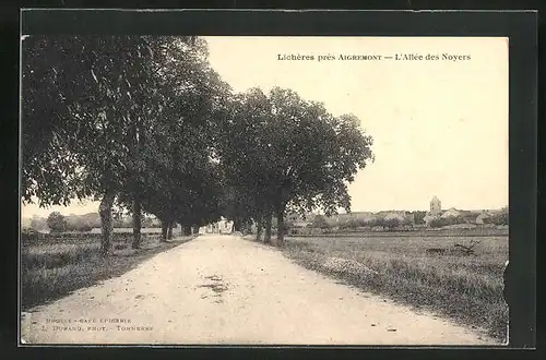 AK Lichéres, l'Allée des Noyers