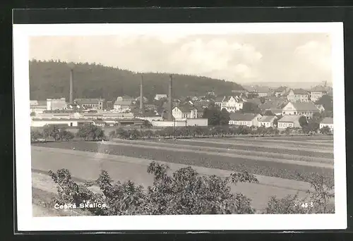 AK Ceská Skalice, Panorama