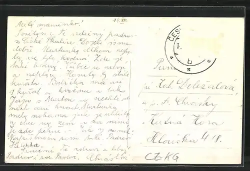 AK Ceská Skalice, Panorama