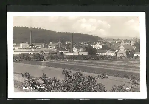 AK Ceská Skalice, Panorama