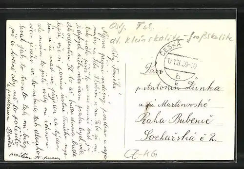 AK Ceská Skalice, Panorama