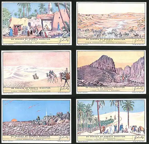6 Sammelbilder Liebig, Serie Nr.: 1453, de Sahra of groote Woestijn, Beduine, Kamel, Oase, Wüste