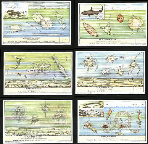 6 Sammelbilder Liebig, Serie Nr.: 1674, Le Plancton Marin, Radiolaires, Mollusques, Dinoflagellates, Hai, Diatomees, Wal