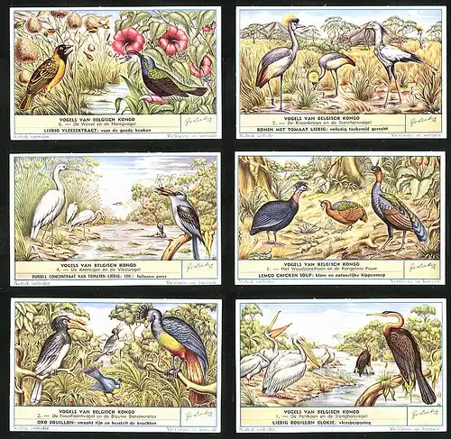 6 Sammelbilder Liebig, Serie Nr.: 1632, Vogels van Belgisch Kongo, Pelikan, Neushoornvogel, Kongolese Pauw, Visijsvogel