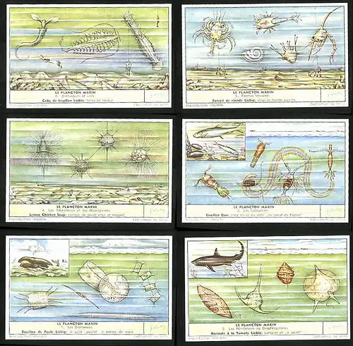 6 Sammelbilder Liebig, Serie Nr.: 1674, Le Plancton Marin, Hai, Wal, Dinoflagellates, Diatomees, Copepodes