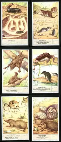 6 Sammelbilder Liebig, Serie Nr.: 1645, Insekteneters, Egel, Tanrek, Desman, Kaguang, Spitsmuis, Mol, Veldspitsmuis