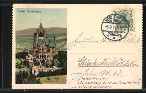 Künstler-AK Königswinter am Rhein /Siebengebirge, Hotel-Pension Sommerhaus Wildpark /Drachenburg, Nordische Sommerhäuser