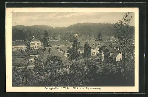 AK Georgenthal i. Th., Blick vom Zigeunerweg