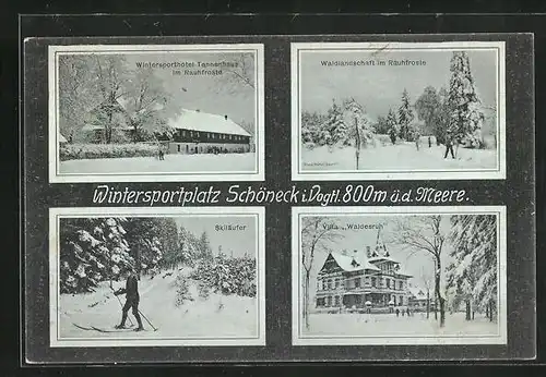 AK Schöneck / Vogtland, Skiläufer, Hotel Tannenhaus im Rauhfroste, Villa Waldesruh