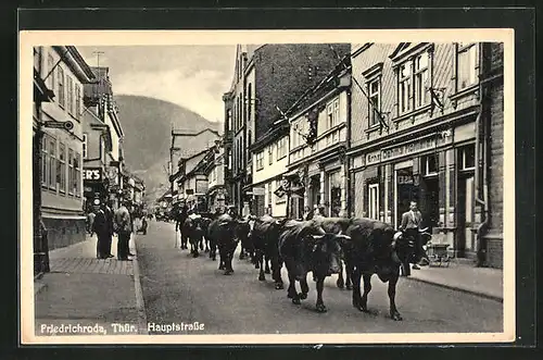 AK Friedrichroda / Thüringen, Hauptstrasse mit Rinderherde und Geschäften