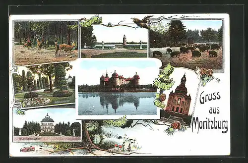 AK Moritzburg, Schloss, Leuchtturm, Schlossgarten