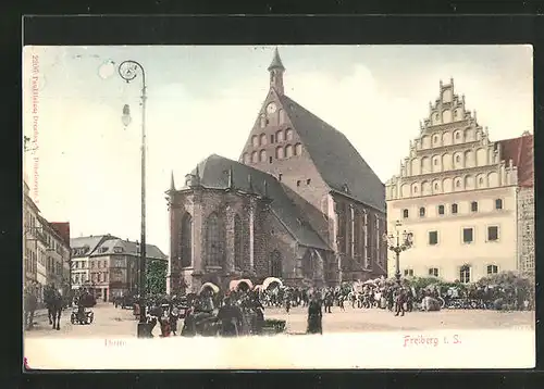 AK Freiberg / Sa., Blick zum Dom