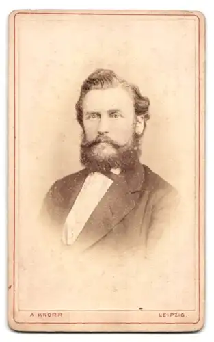 Fotografie A. Knorr, Leipzig, Zeitzerstr. 19c, rück. Personifikationen mit Kamera & Bild, vorder. Portrait Mann mit Bart