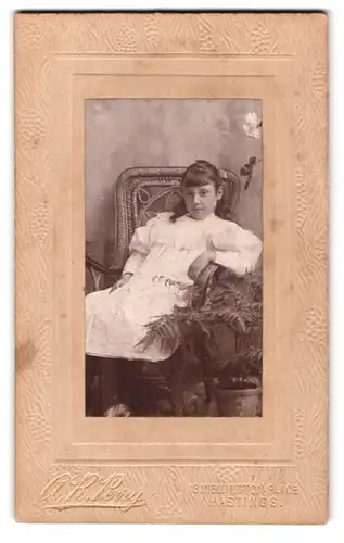 Fotografie A. R. Perry, Hastings, 13, Wellington Place, Portrait junges Mädchen im weissen Kleid