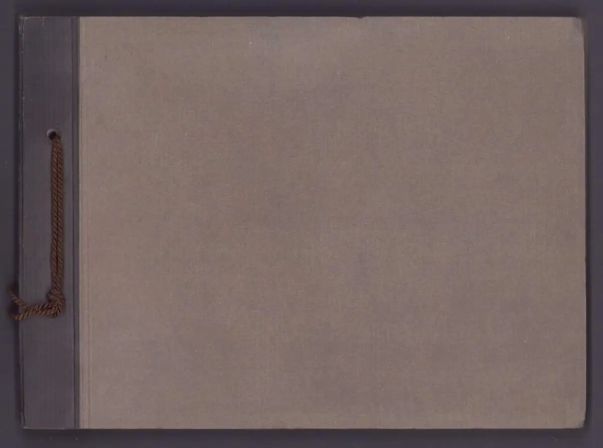 Fotoalbum 36 Fotografien Österreich-Tirol 1925, Ansicht Neustift, Einheimische in Tracht, Alpenpanorama, Berg-Massiv 1