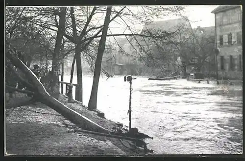 AK Nürnberg, Hochwasser 1909, Insel Schütt
