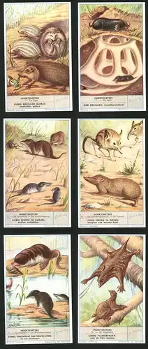 6 Sammelbilder Liebig, Serie Nr. 1645: Insekteneters, de Kaguang, De Desman, de Waterspitsmuis, De Tanrek