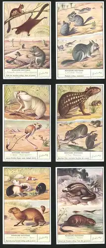 6 Sammelbilder Liebig, Serie Nr. 1600: Rongeurs Exotiques, Lophiomys, Ondatra, Agouti, Paca, Myopotame