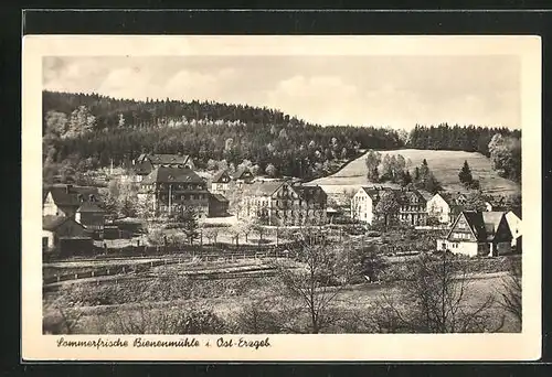 AK Bienenmühle i. Ost-Erzgeb., Ortspartie