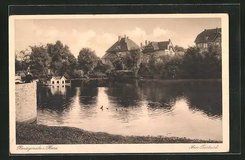 AK Harzgerode / Harz, Häuserpartie am Torteich