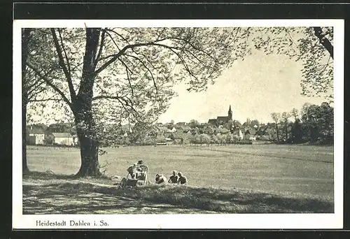 AK Dahlen / Sachsen, Panoramablick zur Stadt